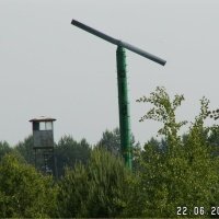 حضانة نبات التوت